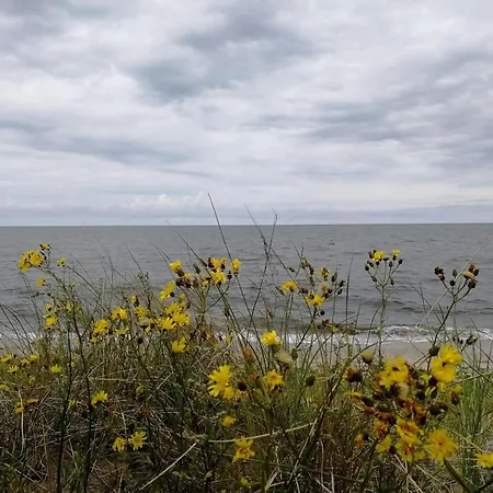 Familiengefuehrtes 50m Von Der Ostsee Apartment Dierhagen