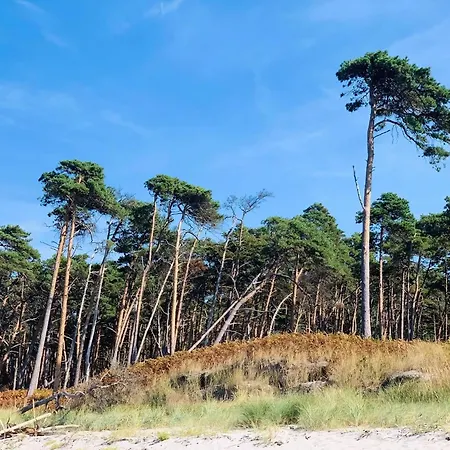 Familiengefuehrtes 50m Von Der Ostsee Dierhagen