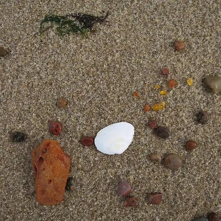 2 شقة